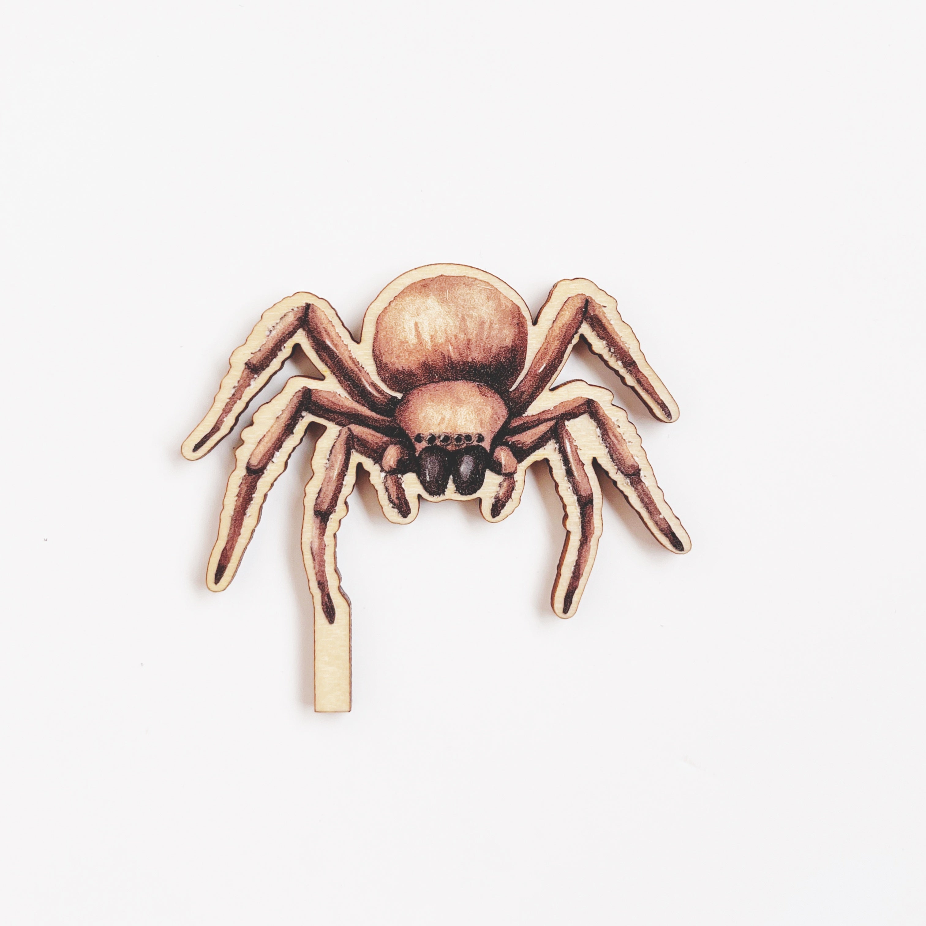 Motivstecker Spinne farbig