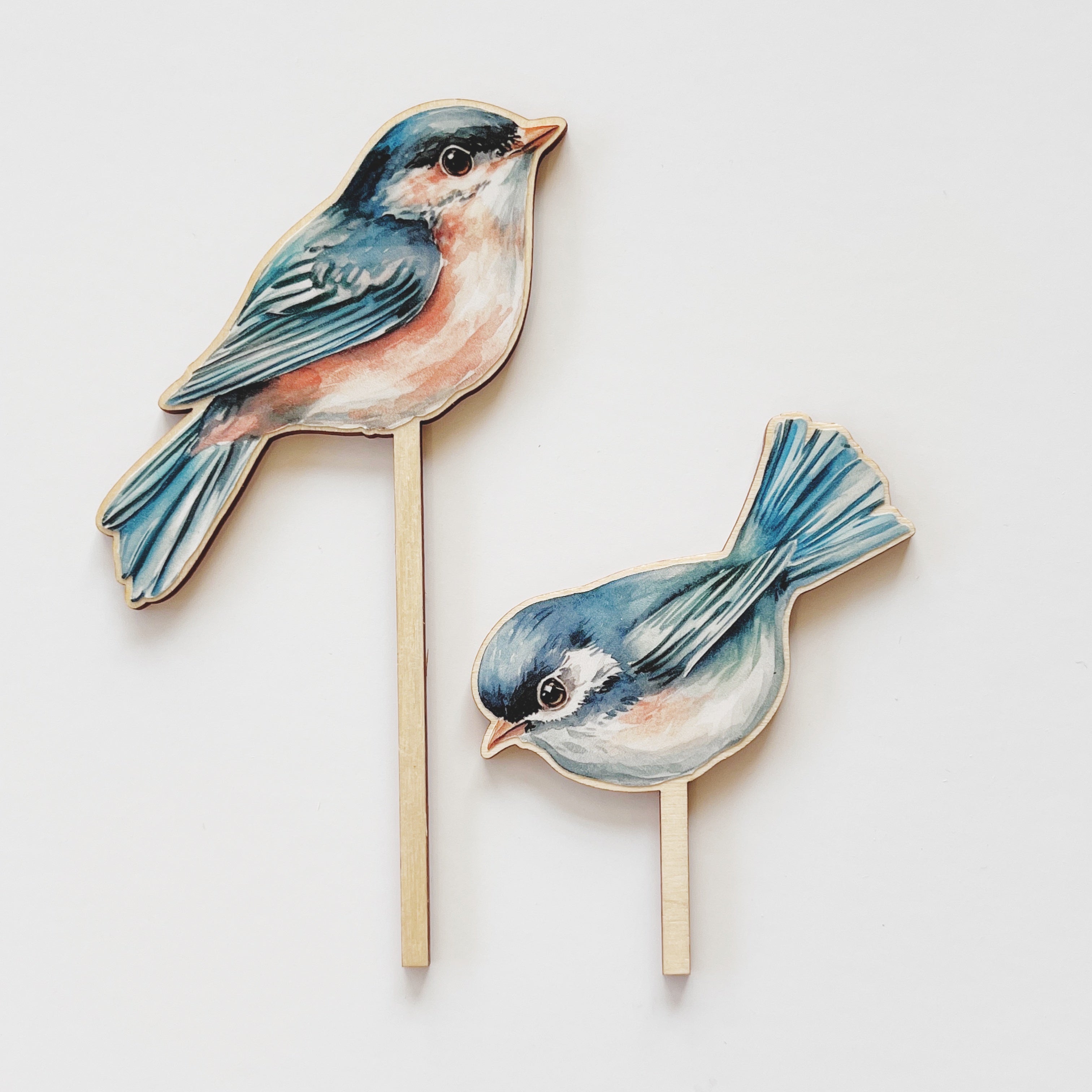 Motivstecker 2er Set Vögel farbig