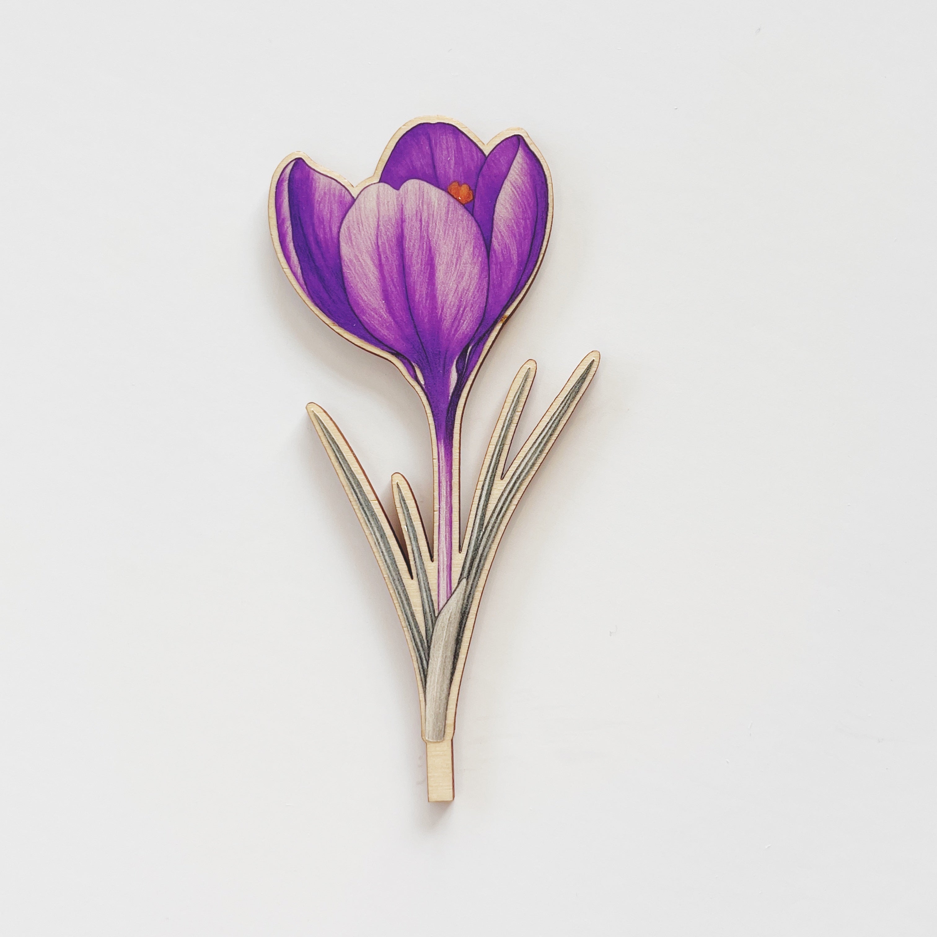 Motivstecker Krokus farbig
