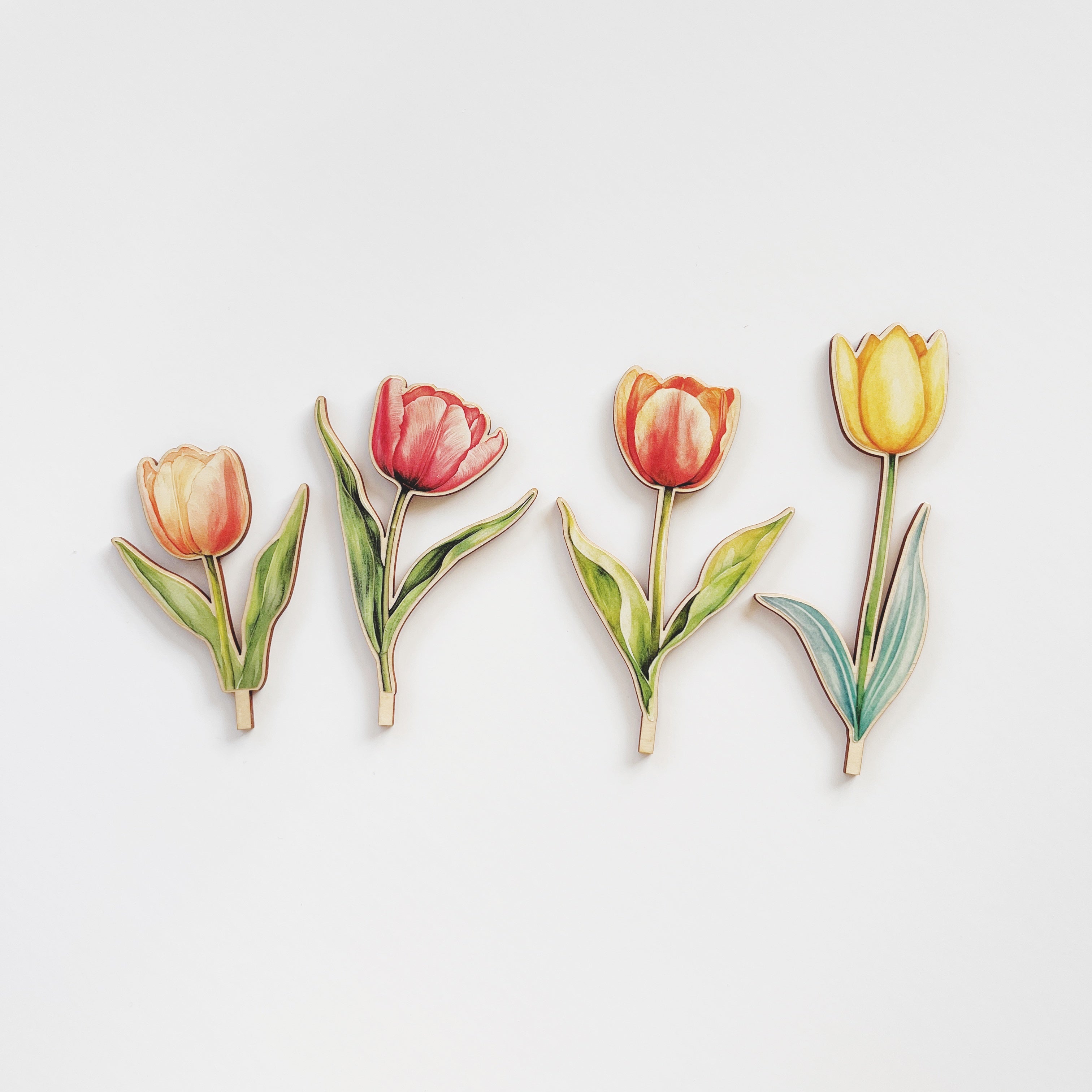 Motivstecker Tulpen farbig